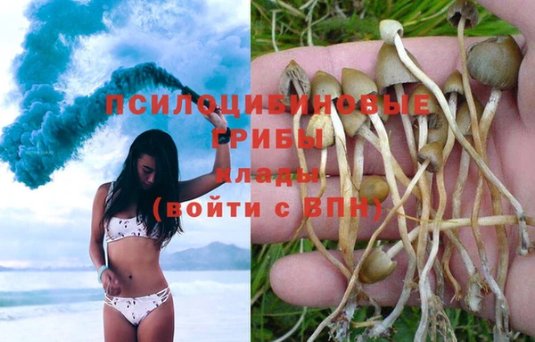 СК Зеленокумск