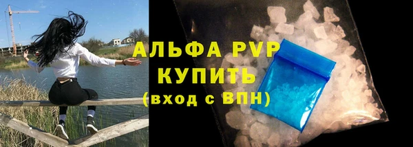 СК Зеленокумск