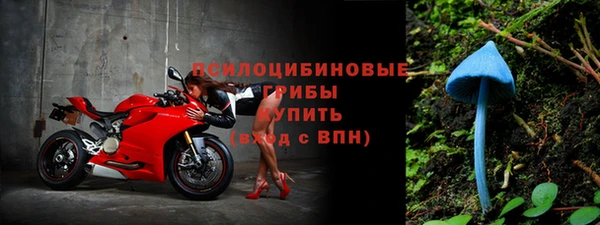 круглые Инсар