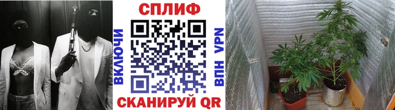 Шишки марихуана OG Kush  Купить  Северо-Курильск 